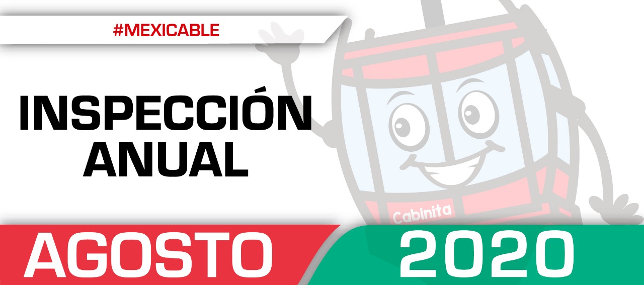 Inspección Anual 2019