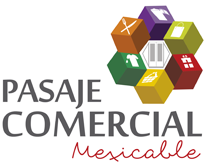 Primera Inspección Anual